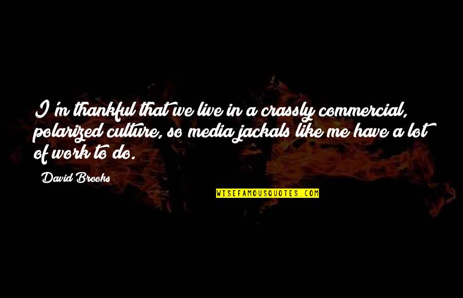 A Lot Of Work To Do Quotes By David Brooks: I'm thankful that we live in a crassly