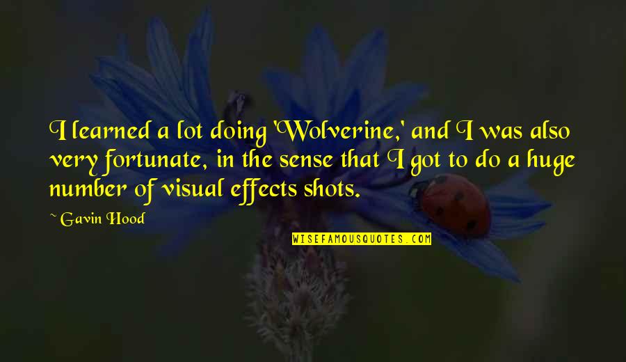 A Lot Quotes By Gavin Hood: I learned a lot doing 'Wolverine,' and I