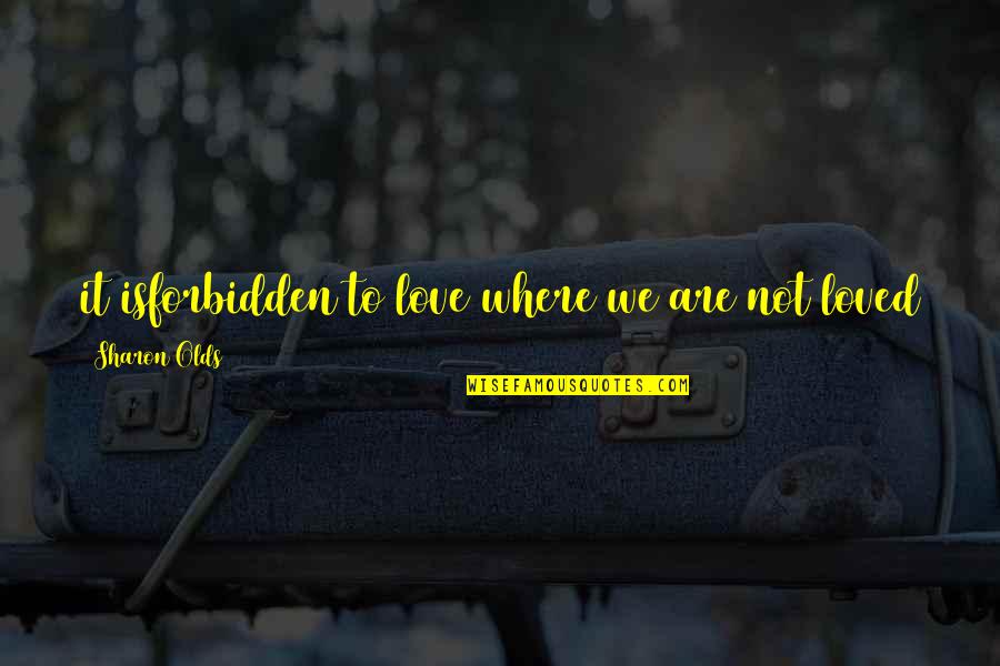 A Love That Is Forbidden Quotes By Sharon Olds: it isforbidden to love where we are not