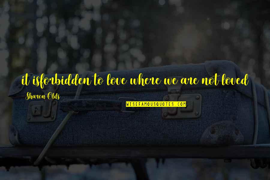 A Love That Is Forbidden Quotes By Sharon Olds: it isforbidden to love where we are not A Love That Is Forbidden Quotes By Sharon Olds: it isforbidden to love where we are not
