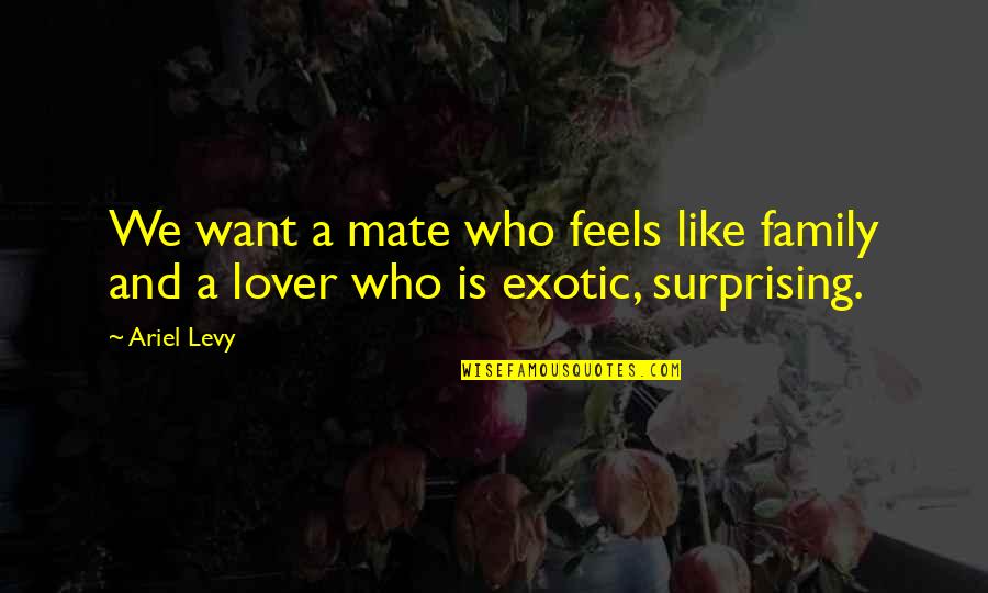 A Lover Quotes By Ariel Levy: We want a mate who feels like family