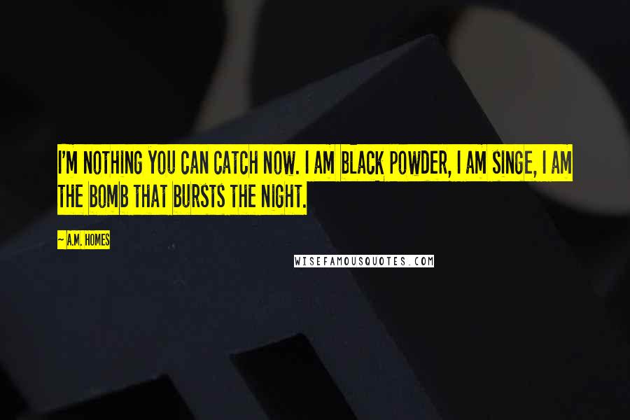 A.M. Homes quotes: I'm nothing you can catch now. I am black powder, I am singe, I am the bomb that bursts the night.