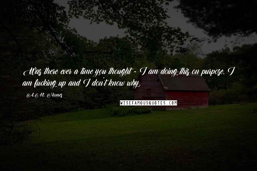 A.M. Homes quotes: Was there ever a time you thought - I am doing this on purpose, I am fucking up and I don't know why.