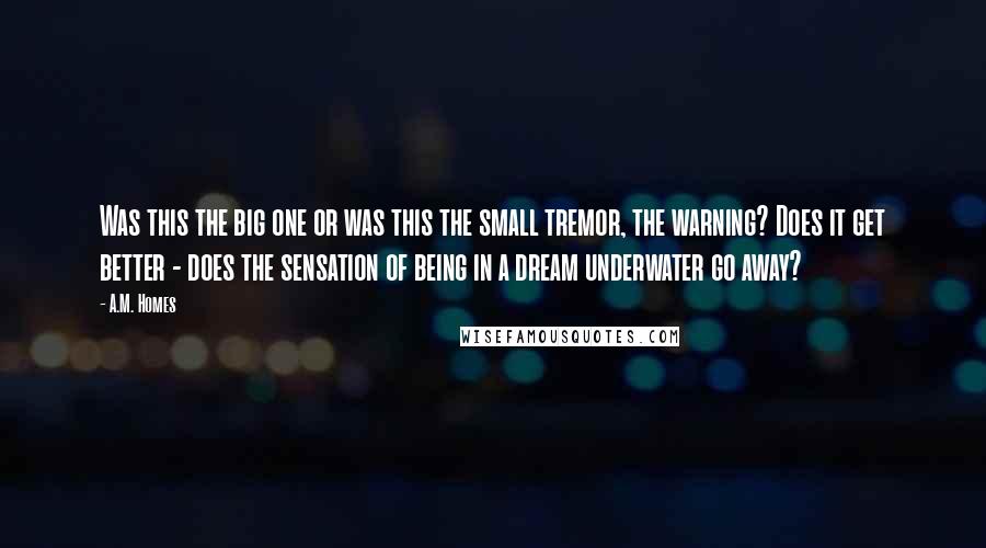 A.M. Homes quotes: Was this the big one or was this the small tremor, the warning? Does it get better - does the sensation of being in a dream underwater go away?