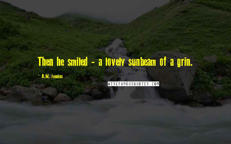A.M. Jenkins quotes: Then he smiled - a lovely sunbeam of a grin.