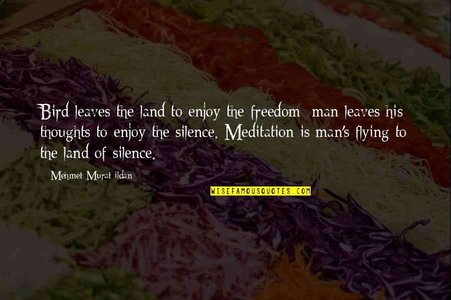 A Man And His Thoughts Quotes By Mehmet Murat Ildan: Bird leaves the land to enjoy the freedom;