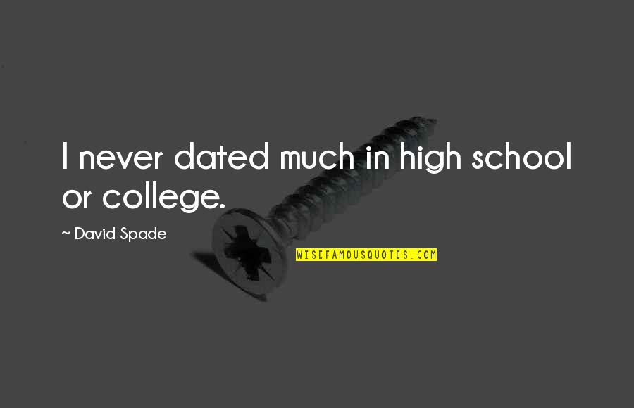 A Man Hurting A Woman Quotes By David Spade: I never dated much in high school or A Man Hurting A Woman Quotes By David Spade: I never dated much in high school or