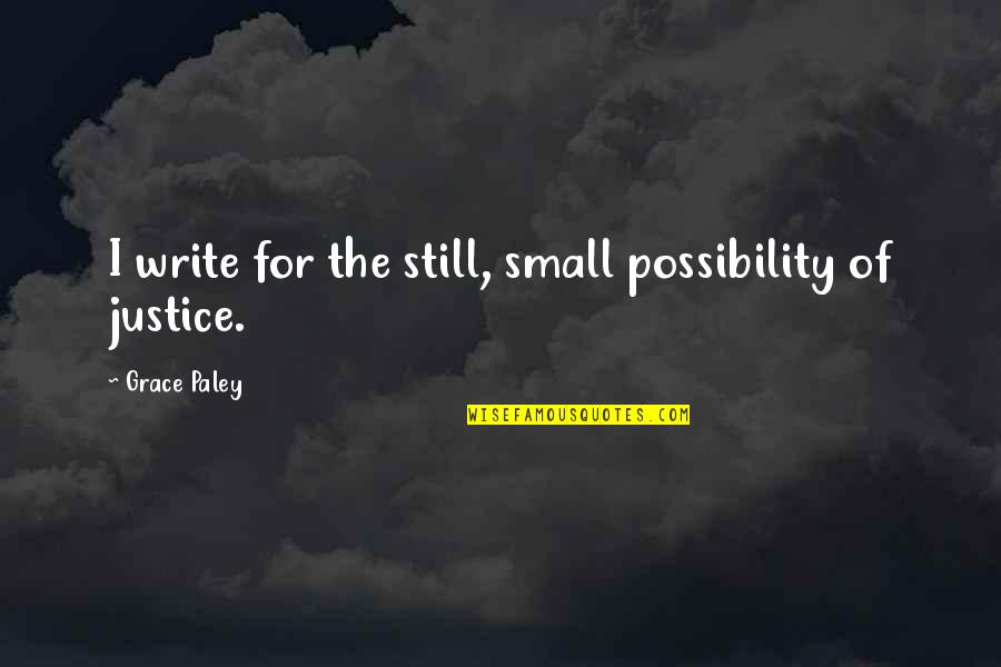 A Man Is Defined By His Actions Quotes By Grace Paley: I write for the still, small possibility of