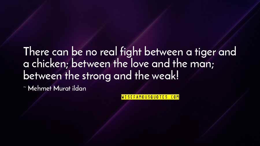 A Man Love Quotes By Mehmet Murat Ildan: There can be no real fight between a
