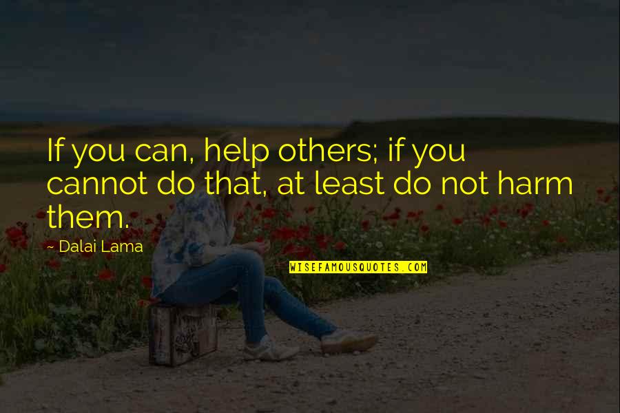 A Man Should Fight For His Woman Quotes By Dalai Lama: If you can, help others; if you cannot