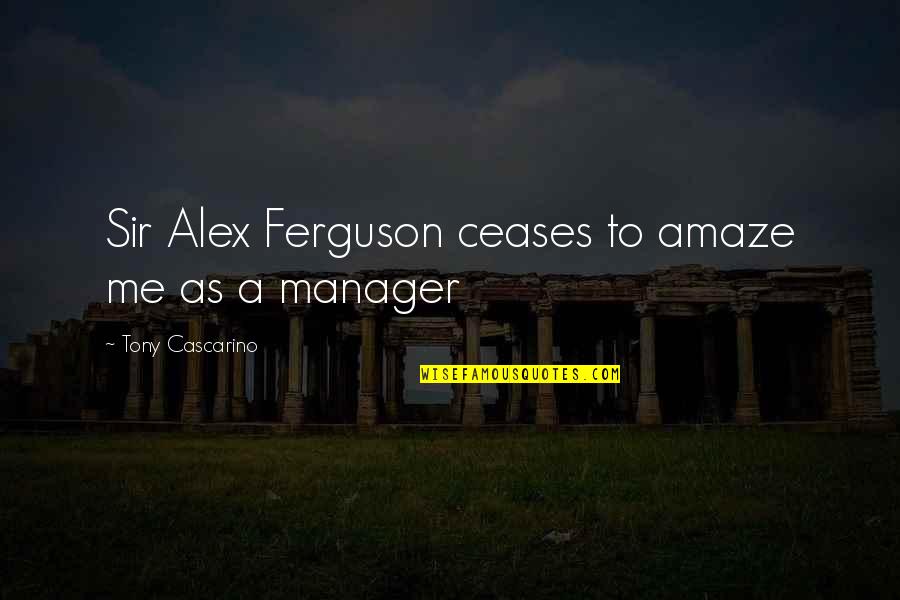 A Manager Quotes By Tony Cascarino: Sir Alex Ferguson ceases to amaze me as
