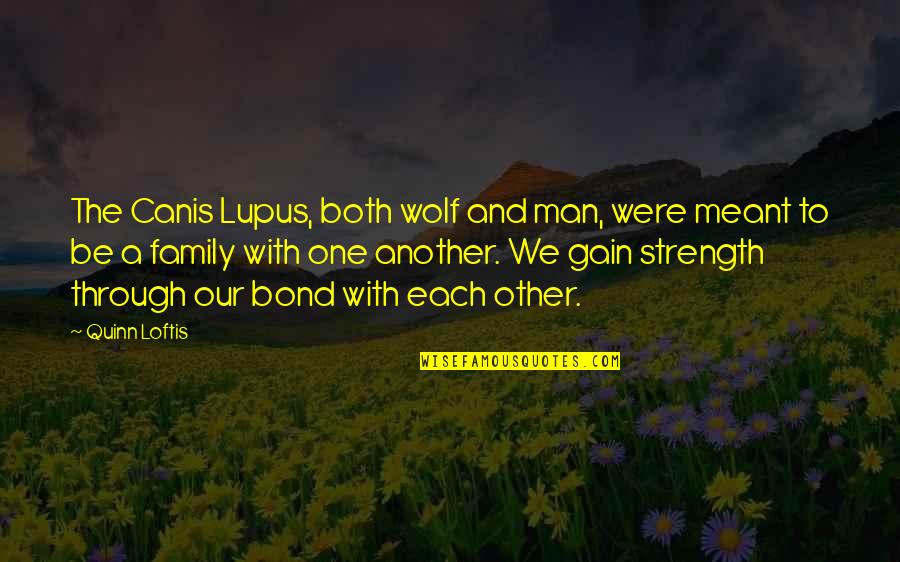 A Man's Family Quotes By Quinn Loftis: The Canis Lupus, both wolf and man, were