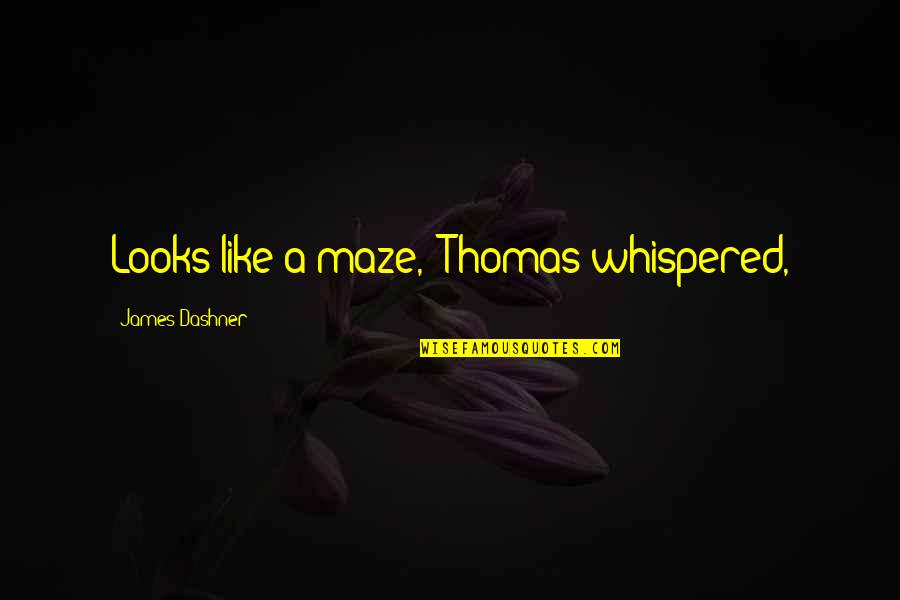 A Maze Quotes By James Dashner: Looks like a maze," Thomas whispered,