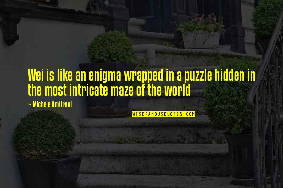 A Maze Quotes By Michele Amitrani: Wei is like an enigma wrapped in a