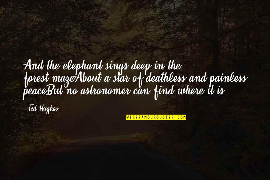 A Maze Quotes By Ted Hughes: And the elephant sings deep in the forest-mazeAbout