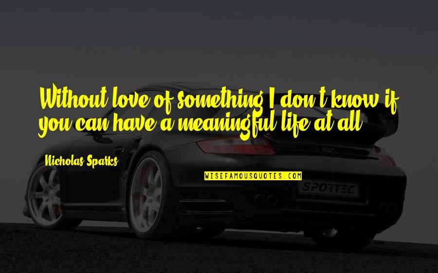 A Meaningful Life Quotes By Nicholas Sparks: Without love of something I don't know if