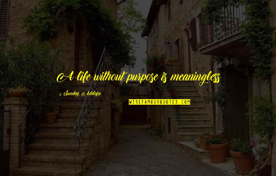A Meaningful Life Quotes By Sunday Adelaja: A life without purpose is meaningless