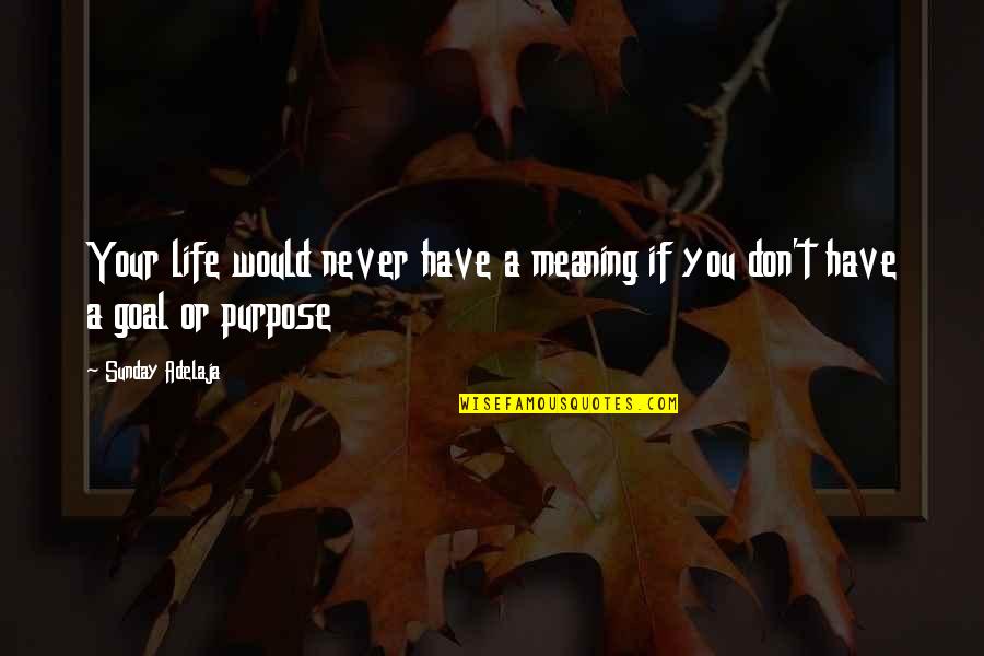 A Meaningless Life Quotes By Sunday Adelaja: Your life would never have a meaning if