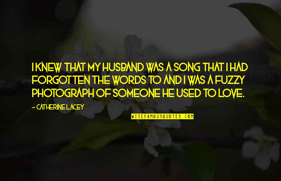 A Memory Quotes By Catherine Lacey: I knew that my husband was a song