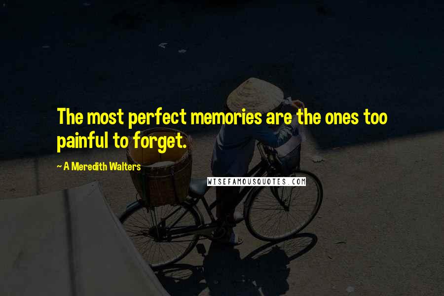 A Meredith Walters quotes: The most perfect memories are the ones too painful to forget.