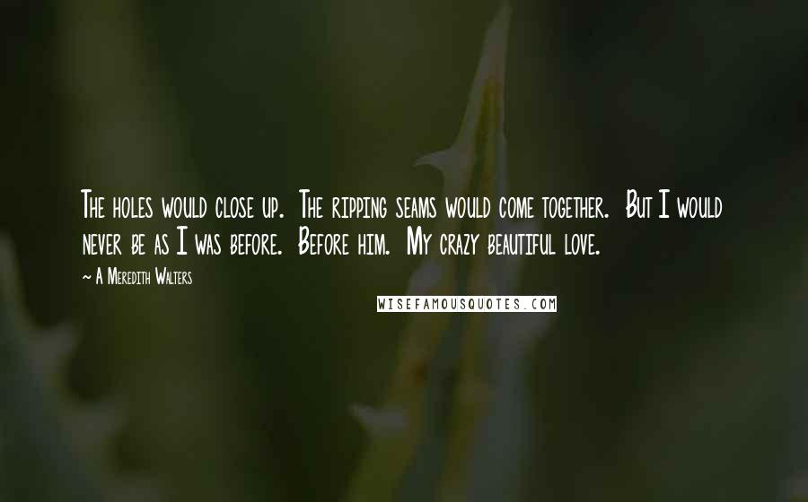 A Meredith Walters quotes: The holes would close up. The ripping seams would come together. But I would never be as I was before. Before him. My crazy beautiful love. A Meredith Walters quotes: The holes would close up. The ripping seams would come together. But I would never be as I was before. Before him. My crazy beautiful love.