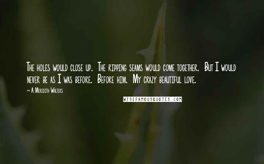 A Meredith Walters quotes: The holes would close up. The ripping seams would come together. But I would never be as I was before. Before him. My crazy beautiful love.