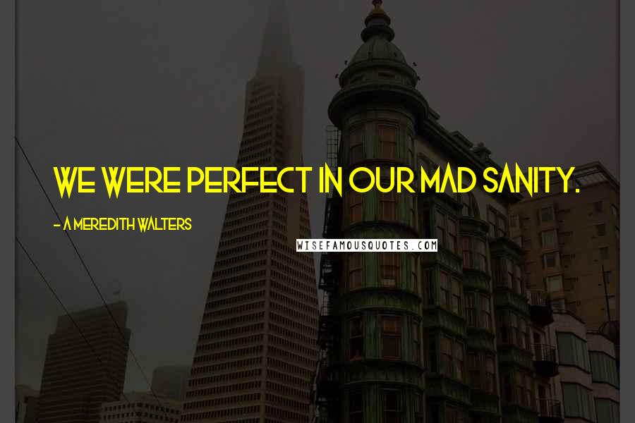 A Meredith Walters quotes: We were perfect in our mad sanity.