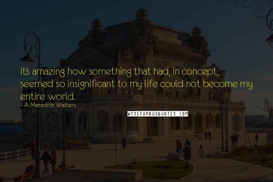 A Meredith Walters quotes: It's amazing how something that had, in concept, seemed so insignificant to my life could not become my entire world.