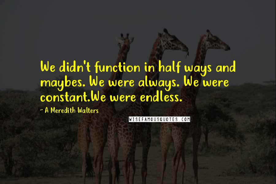 A Meredith Walters quotes: We didn't function in half ways and maybes. We were always. We were constant.We were endless.