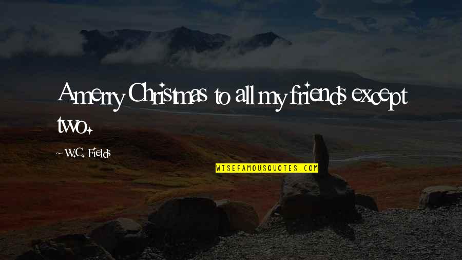 A Merry Christmas Quotes By W.C. Fields: A merry Christmas to all my friends except