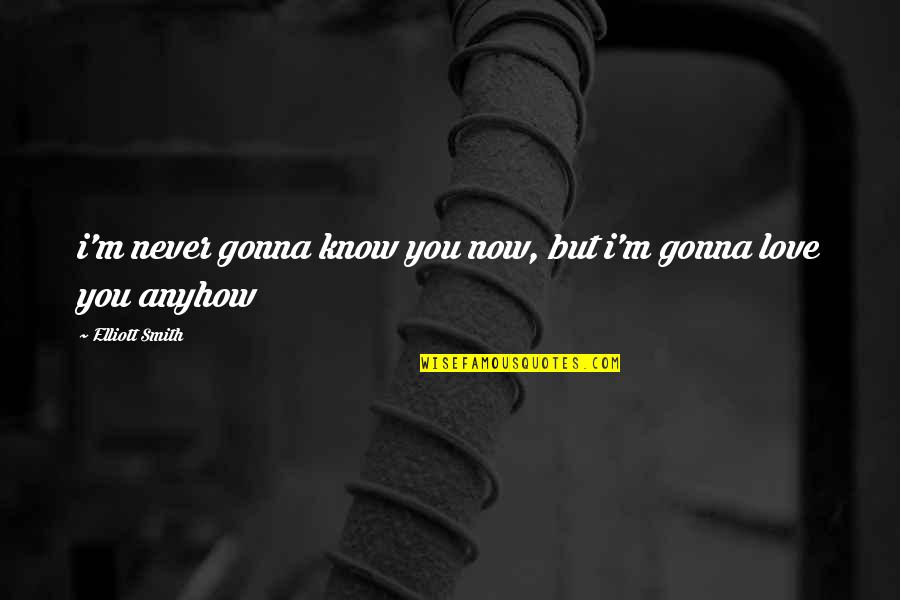 A Million Little Things Rome Quotes By Elliott Smith: i'm never gonna know you now, but i'm A Million Little Things Rome Quotes By Elliott Smith: i'm never gonna know you now, but i'm