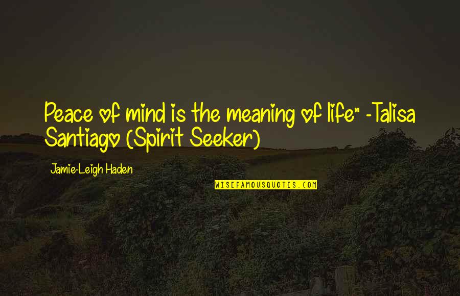 A Mind At Peace Quotes By Jamie-Leigh Haden: Peace of mind is the meaning of life"