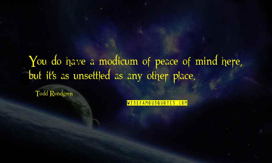 A Mind At Peace Quotes By Todd Rundgren: You do have a modicum of peace of