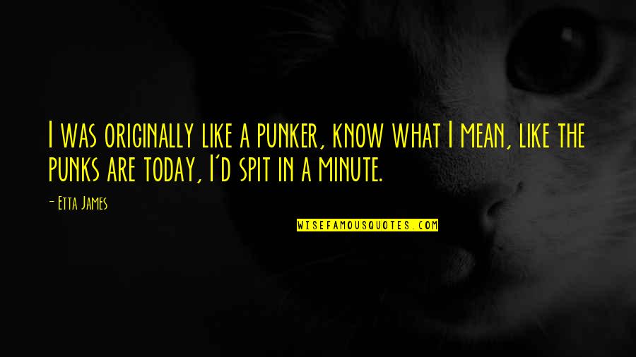 A Minute Quotes By Etta James: I was originally like a punker, know what