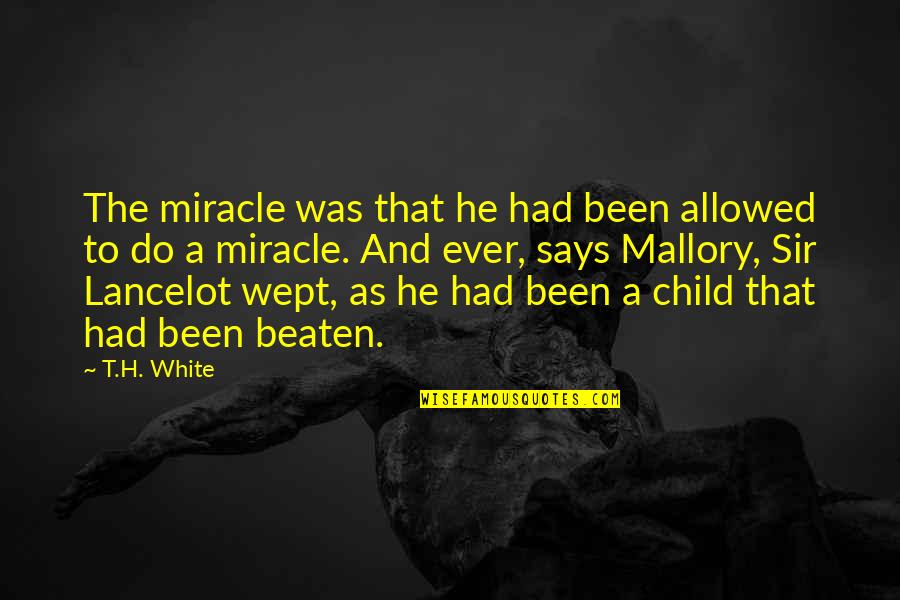 A Miracle Quotes By T.H. White: The miracle was that he had been allowed