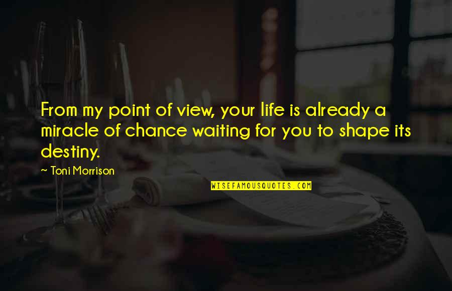 A Miracle Quotes By Toni Morrison: From my point of view, your life is