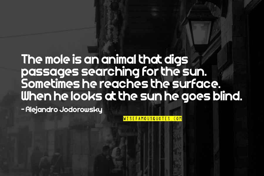 A Mole Quotes By Alejandro Jodorowsky: The mole is an animal that digs passages