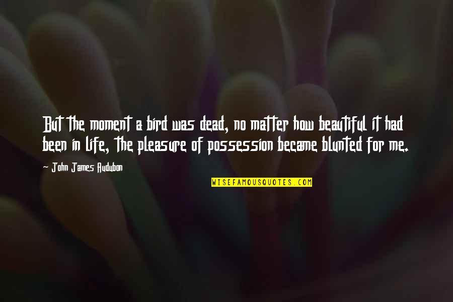 A Moment In Life Quotes By John James Audubon: But the moment a bird was dead, no