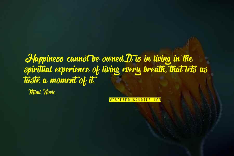 A Moment In Life Quotes By Mimi Novic: Happiness cannot be owned.It is in living in