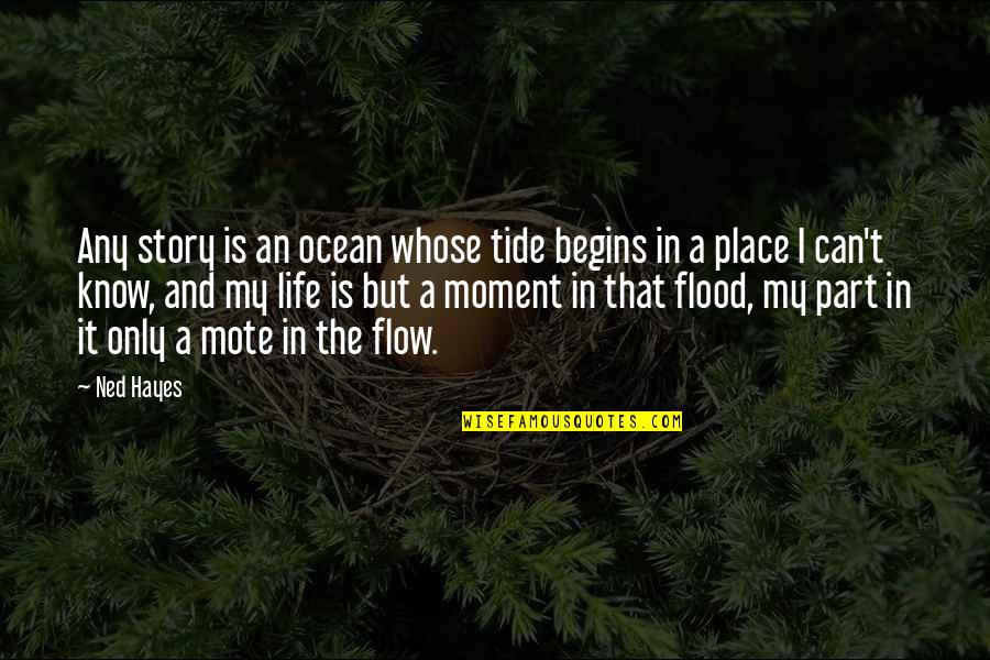 A Moment In Life Quotes By Ned Hayes: Any story is an ocean whose tide begins