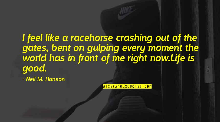 A Moment In Life Quotes By Neil M. Hanson: I feel like a racehorse crashing out of