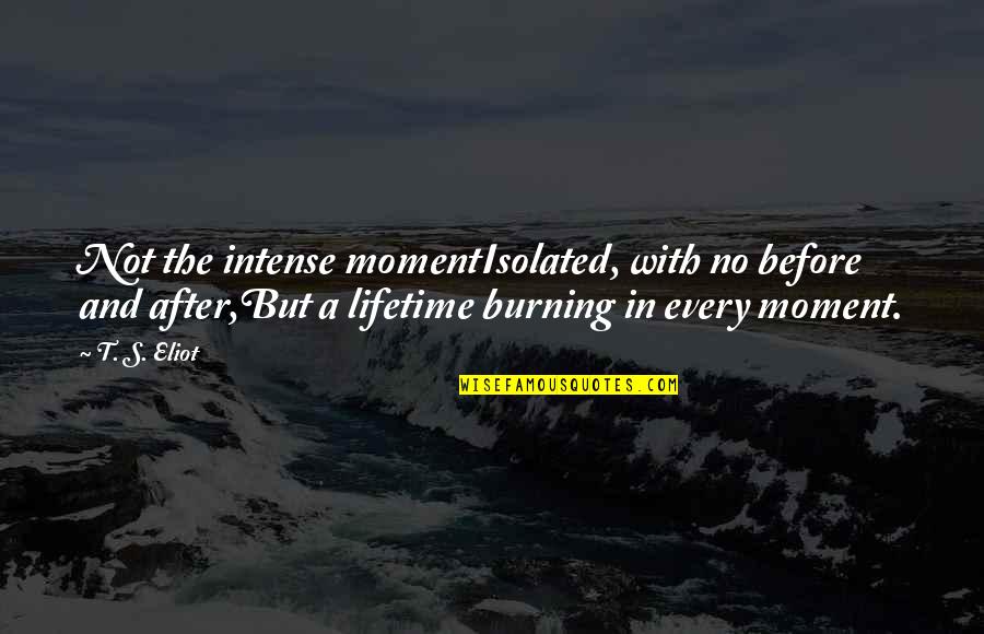 A Moment In Life Quotes By T. S. Eliot: Not the intense momentIsolated, with no before and