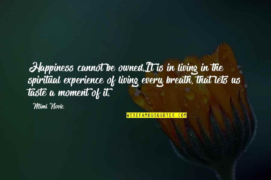 A Moment Of Happiness Quotes By Mimi Novic: Happiness cannot be owned.It is in living in