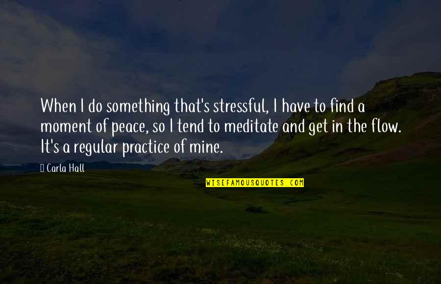 A Moment Of Peace Quotes By Carla Hall: When I do something that's stressful, I have