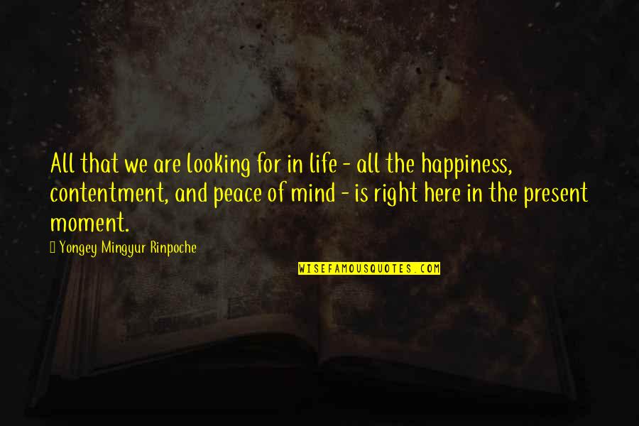 A Moment Of Peace Quotes By Yongey Mingyur Rinpoche: All that we are looking for in life