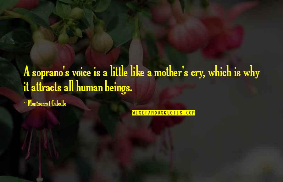 A Mother Is Like A Quotes By Montserrat Caballe: A soprano's voice is a little like a