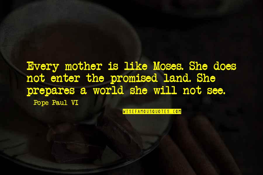 A Mother Is Like A Quotes By Pope Paul VI: Every mother is like Moses. She does not