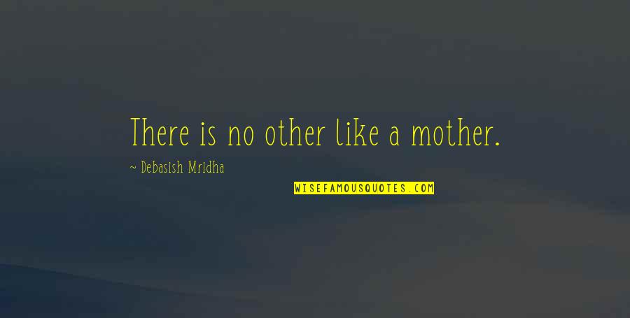 A Mother Is Like Quotes By Debasish Mridha: There is no other like a mother.