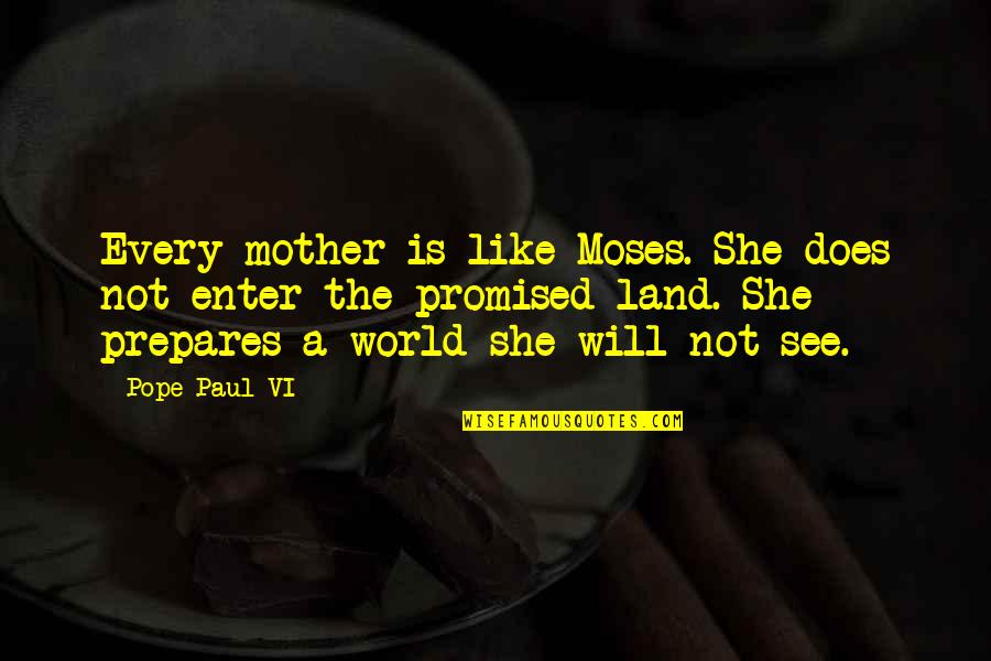 A Mother Is Like Quotes By Pope Paul VI: Every mother is like Moses. She does not