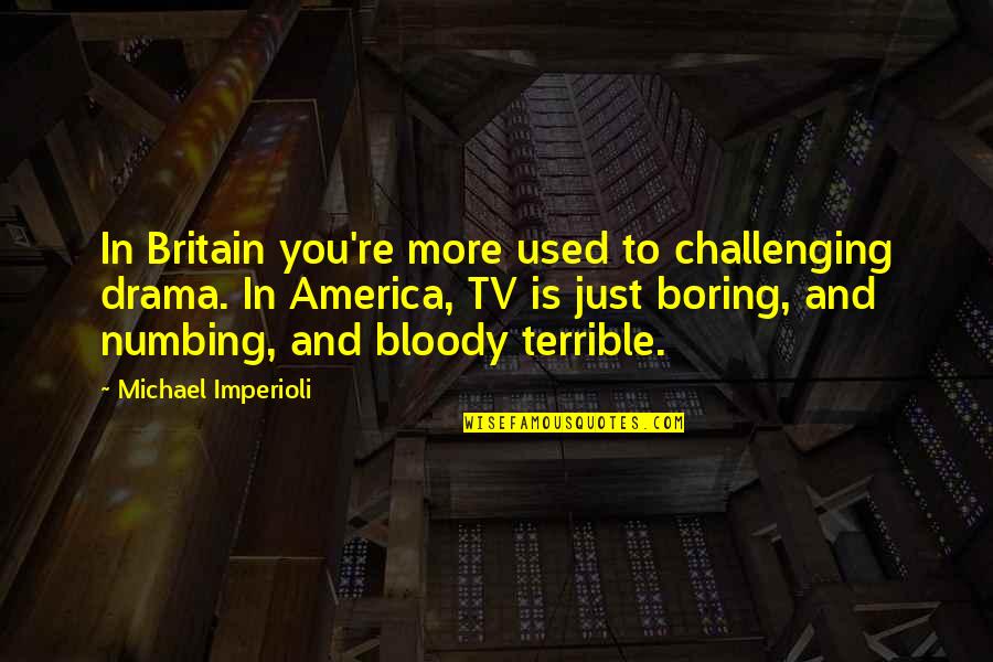 A Mother Who Has Lost A Child Quotes By Michael Imperioli: In Britain you're more used to challenging drama.